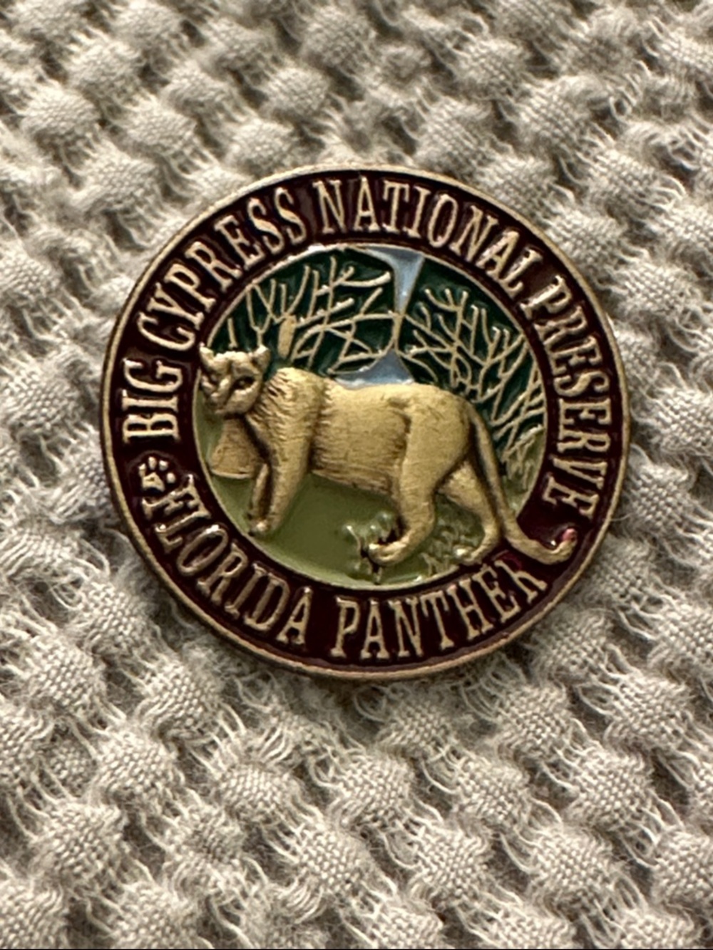 Big Cypress National Preserve Florida Panther Pin
